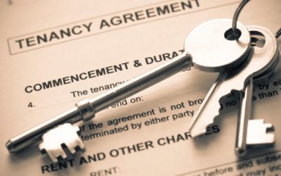 Blog 2 What renters need to know about household plumbing?