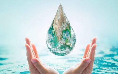 Blog 1 Conserving water during the summer heat